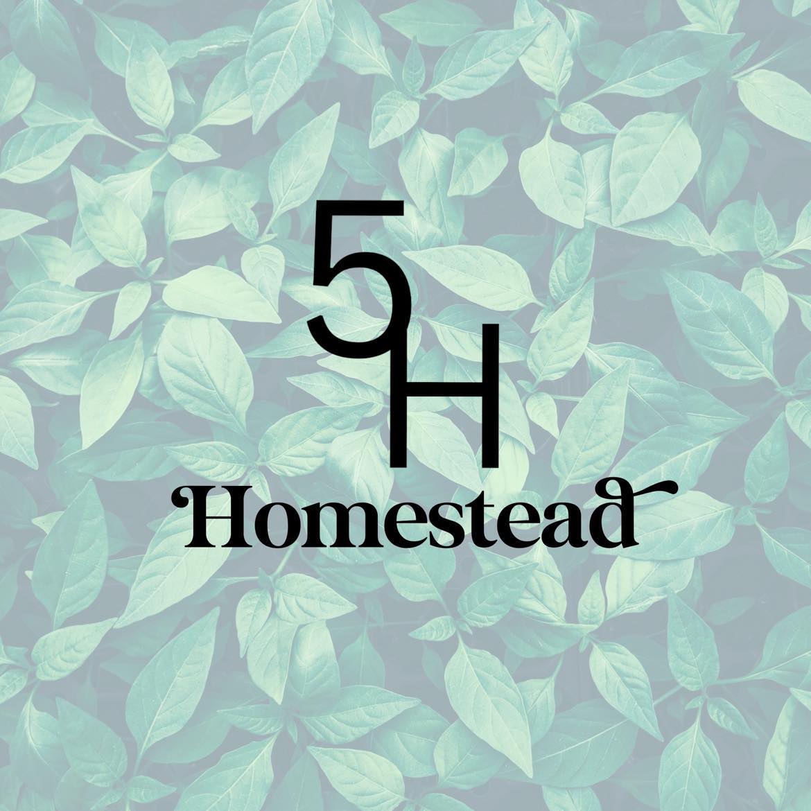 5H Homestead